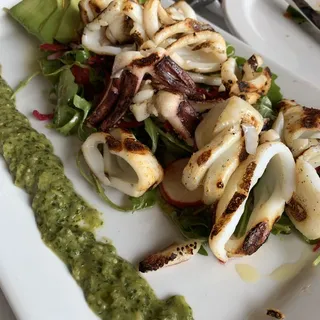 Grilled Calamari