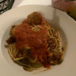 Spaghetti and meatball
