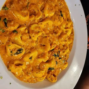 Tortellini Bolognese