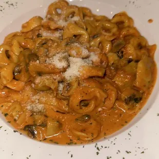 pasta, food, pasta dish