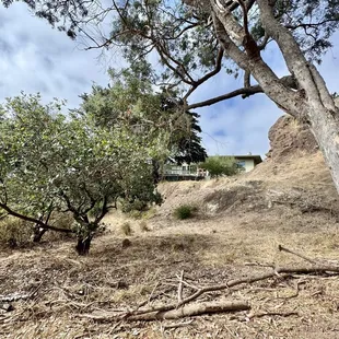 Looking up the path towards the cafe