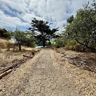 The hike up the path to the cafe