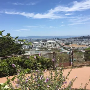 View of the city from Cafe Josephine. Saturday mornings are the best here with great bird watching and awesome coffee!