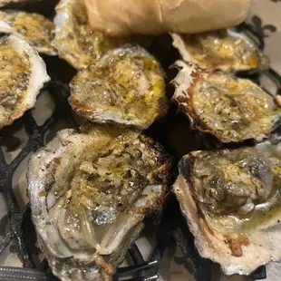 Grilled Oysters