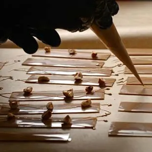 sashimi, sushi, sushi and sashimi, food