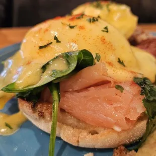 Salmon