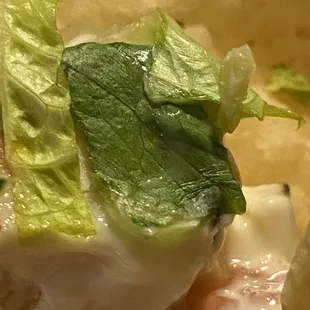 Wilted brown lettuce