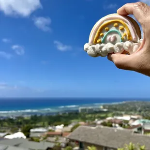 Specialty cookies - Hawaiian Collection. In plant-based as well as butter.