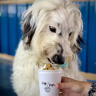 8 oz. Kids Hot Pawpuccino
