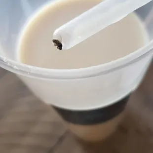 Bug in drink