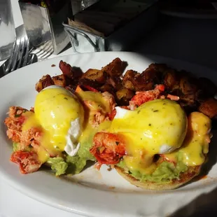 Lobster eggs benny