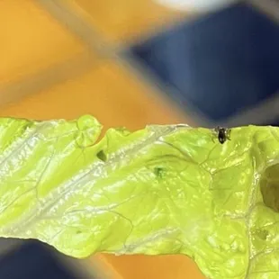 The spider in my food