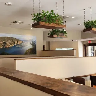 interior, sushi and sashimi