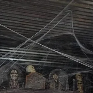 They go all out with Halloween decorations. No other place in town does it like Mike's