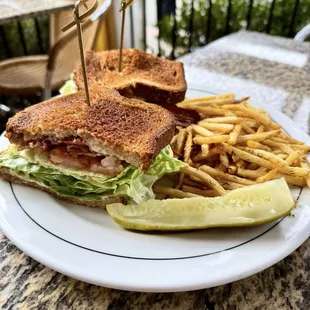 BIG ENOUGH...we shared a Mimosa B.L.T for lunch !
