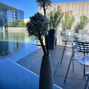 Ahhh ~ overlooking the reflecting pool!(10/14/23)