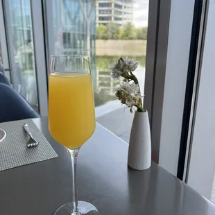 Mimosa (and a view!)