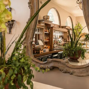 oysters and mussels, interior