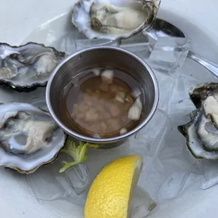 Oysters on the Half Shell