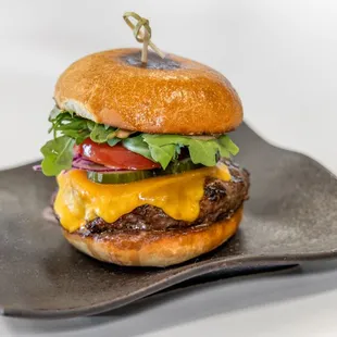 a cheeseburger on a plate