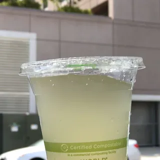 Super Dry Green Tea Kombucha