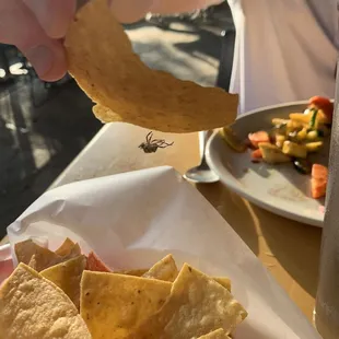 Fried spider in the basket of chips