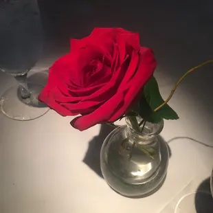 Their center piece for the table is a Mr. Lincoln rose!  Great color!