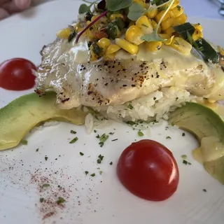 Texas Gulf Red Snapper