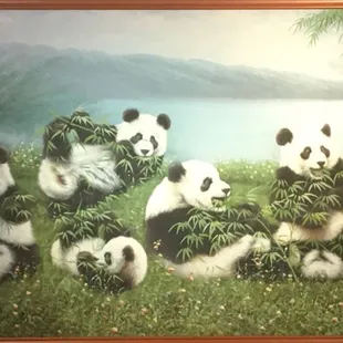 More pandas