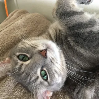 Sophie C.