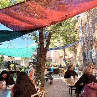 Made in the shade, out in the courtyard