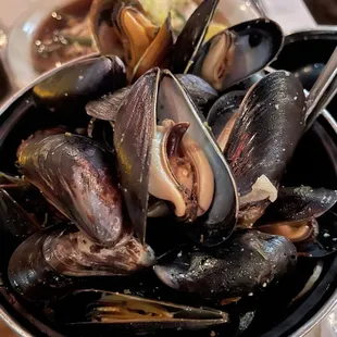 Mussels