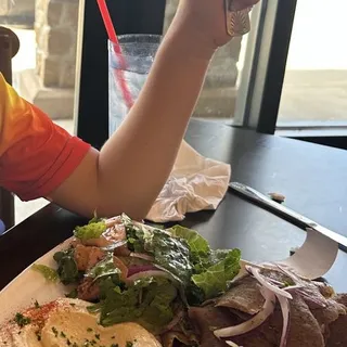 Gyro Plate
