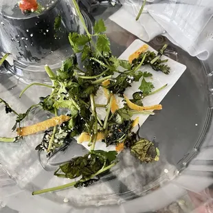 All the black cilantro I had to take out
