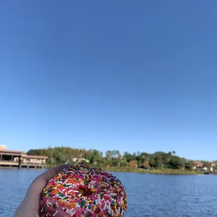 Donut also wanted a close up view.