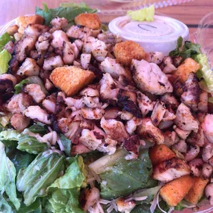 Chicken Caesar Salad