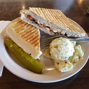 tasty Chicken Asiago panini and a side of potato salad