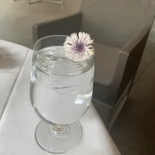 The garnish that came with my crabcakes that I ate before I took the pic.