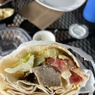 a hand holding a pita
