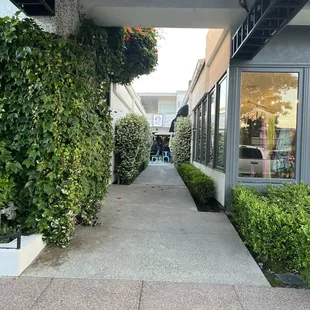 Follow this pathway to get to Cafe Sakana