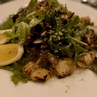 Grilled Calamari