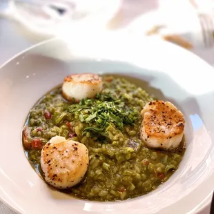 Green Curry Scallops Risotto