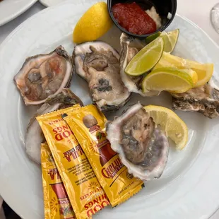Oysters
