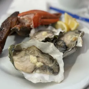 mussels, oysters and mussels, food, oysters, shellfish