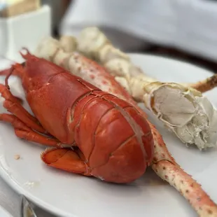 food, sandwich, hot dogs, hot dog