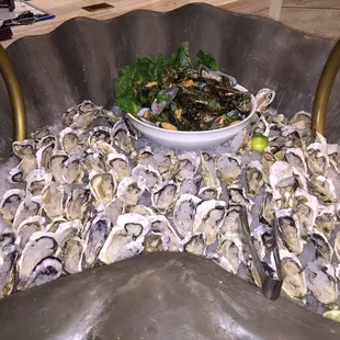 Raw Oysters