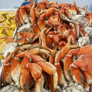 Dungeness Crab
