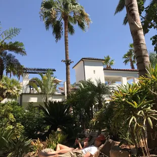 two people lounging in the shade of palm trees