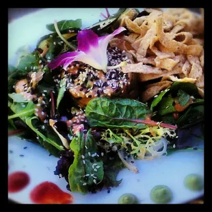 Seared Ahi Tuna Salads