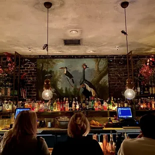 people sitting at the bar